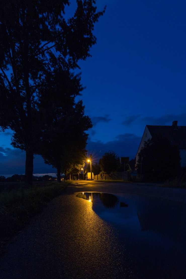 Herbst2017_20170906_059