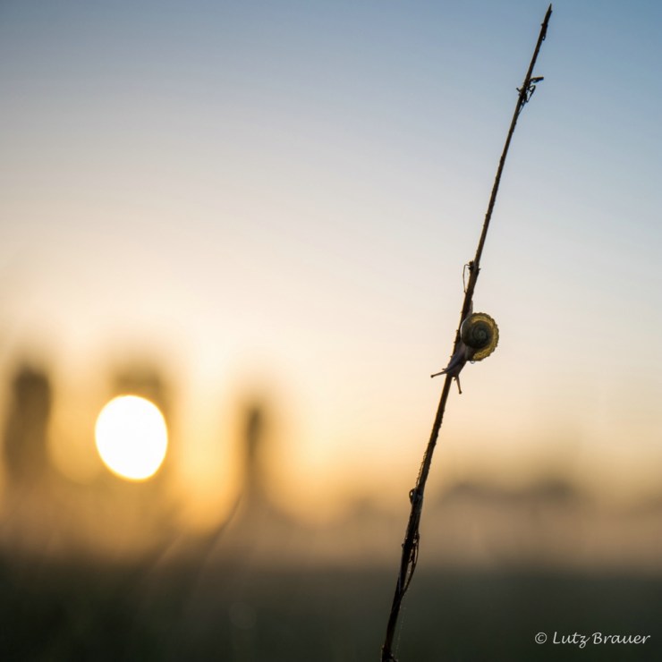 Maimorgen_20180506_027-2